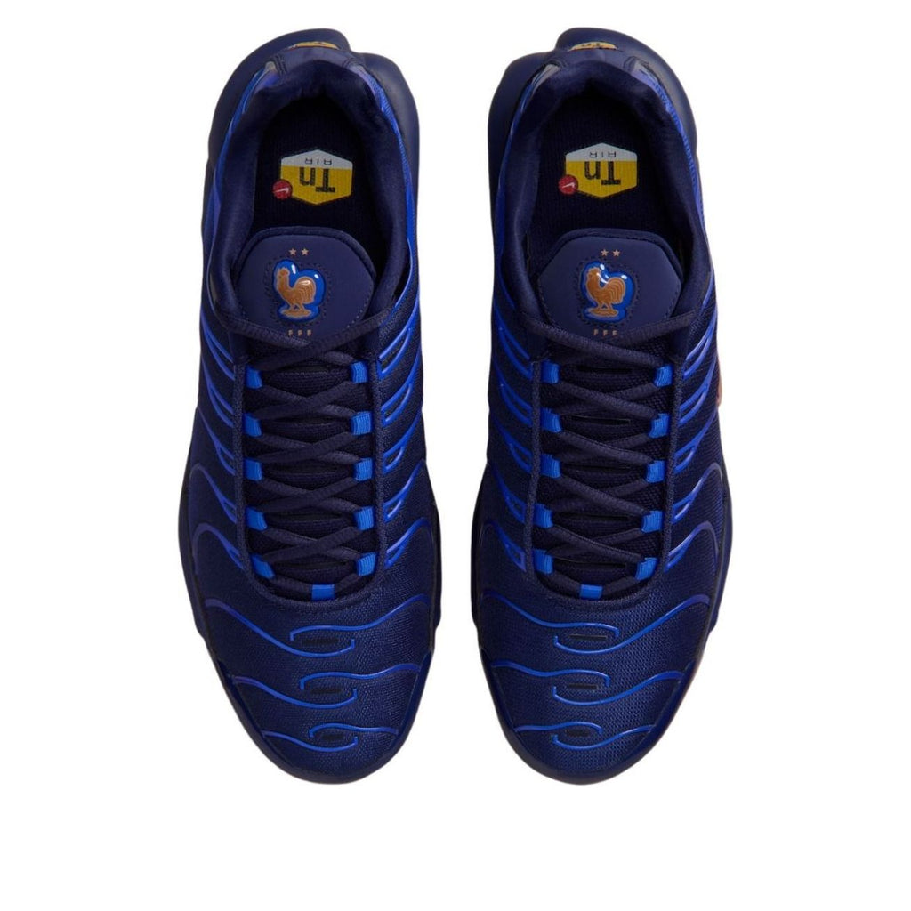 Nike Air Max Plus 'French Football Federation' | Style No. IQ0170-400