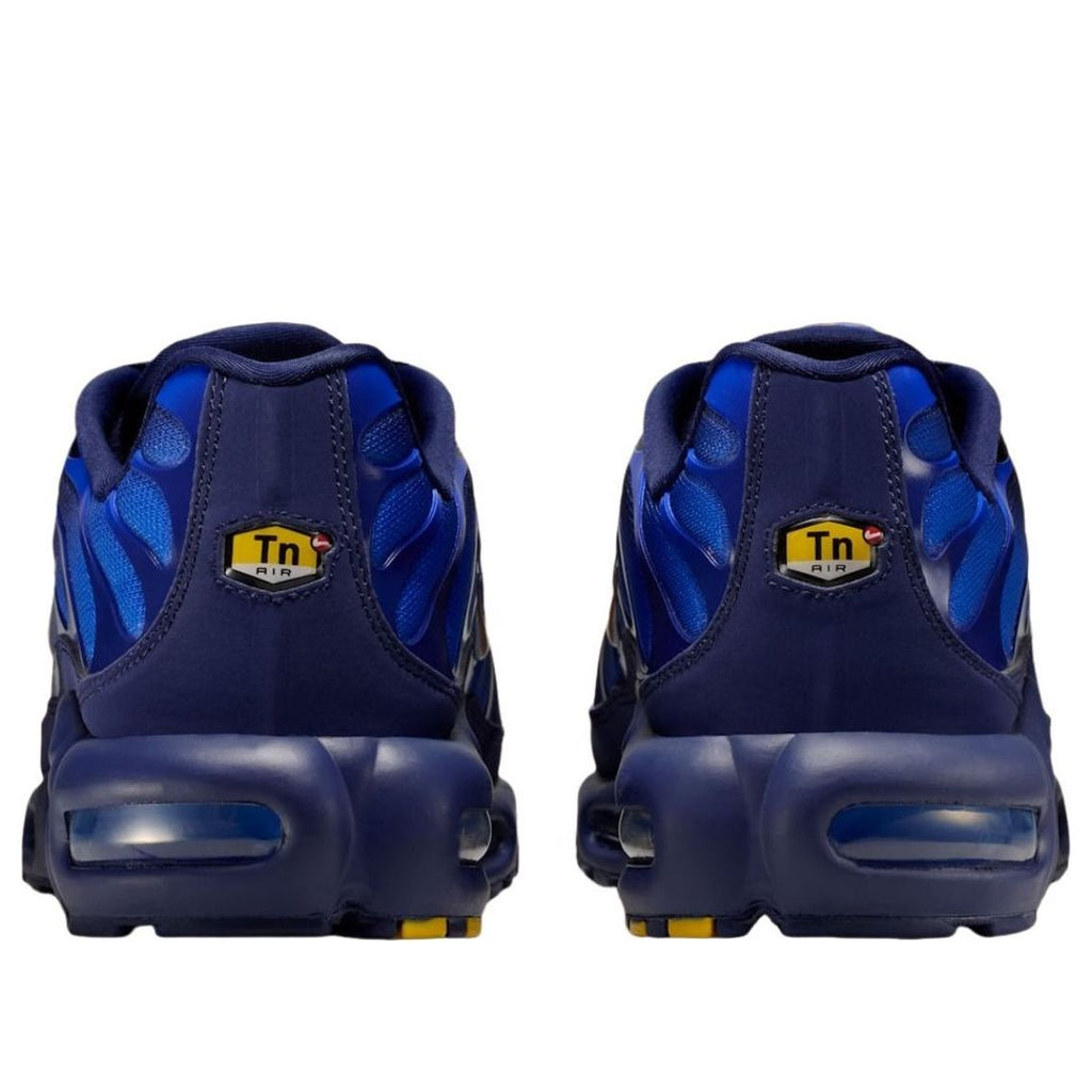 Nike Air Max Plus 'French Football Federation' | Style No. IQ0170-400
