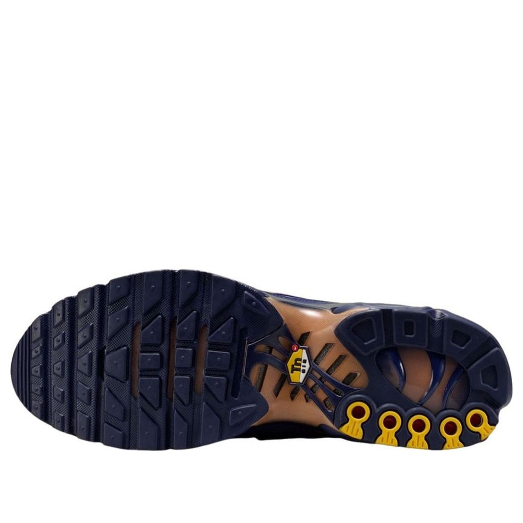 Nike Air Max Plus 'French Football Federation' | Style No. IQ0170-400
