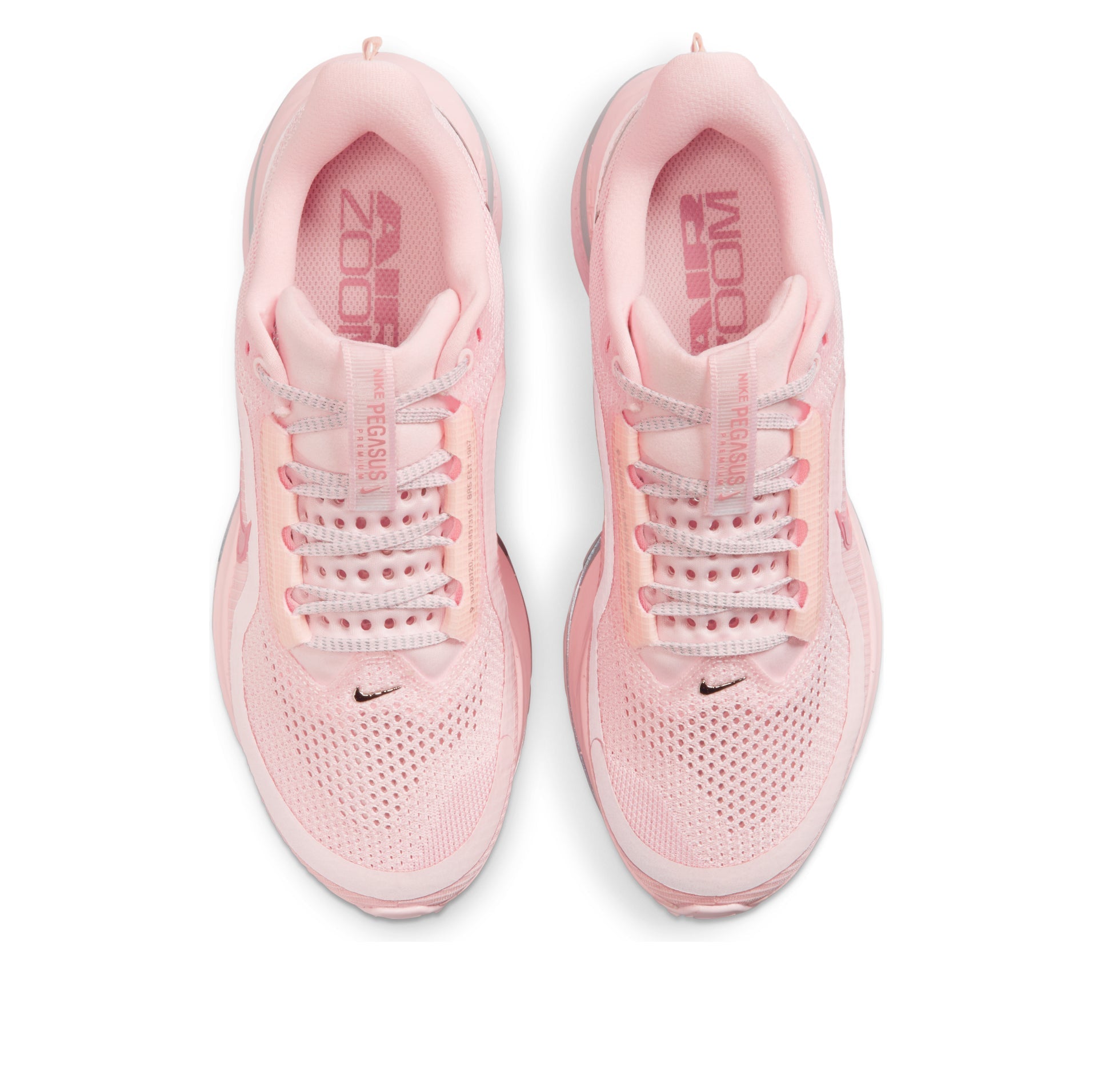 Nike Pegasus Premium 'Atmosphere' HQ2593-601