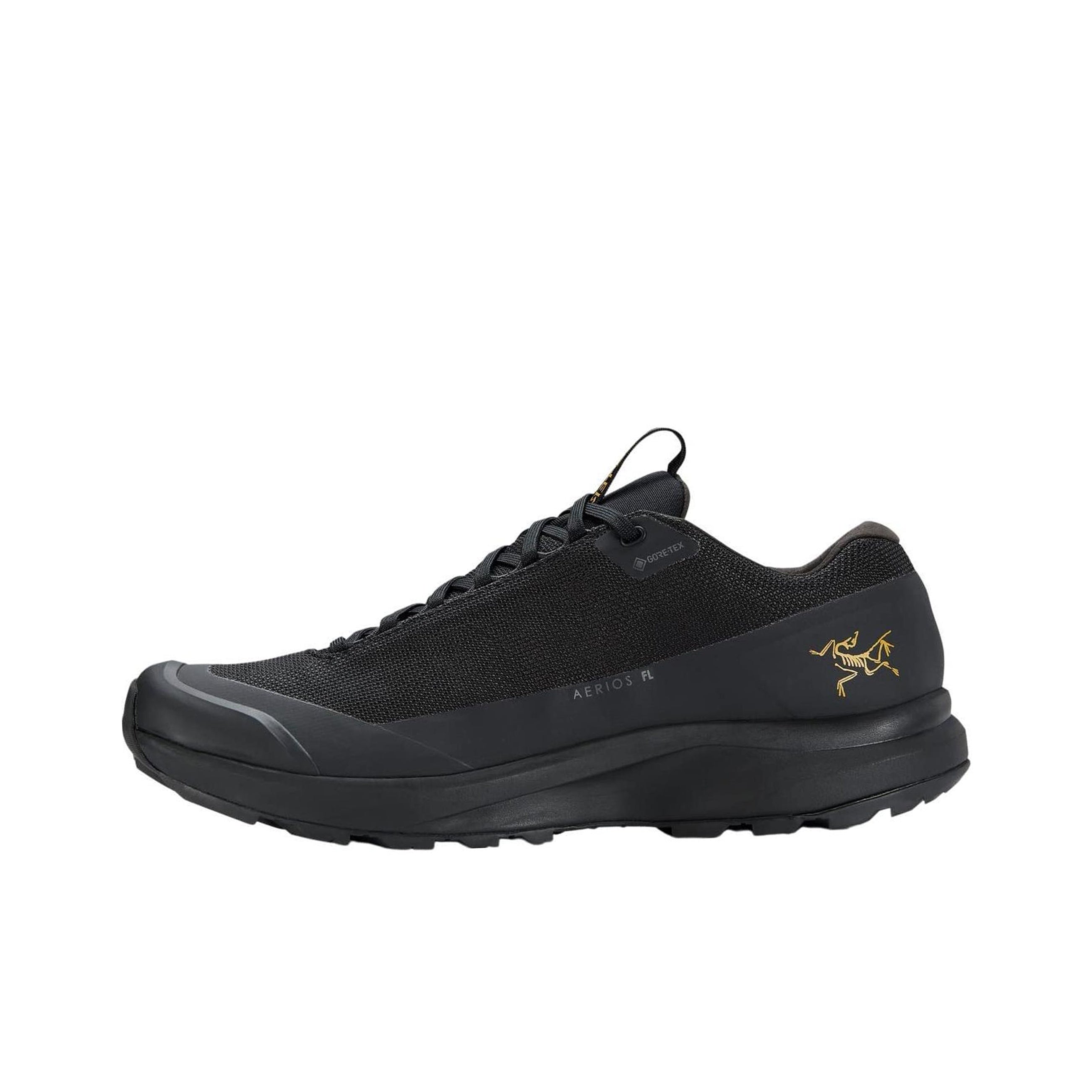Arc’teryx Aerios FL GTX Low Outdoor Shoe — Men’s Black